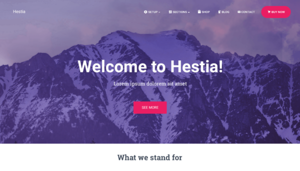 Hestia Theme Free Download - SEO Optimized, Responsive WordPress Theme at WPApplication